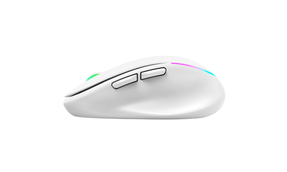 MYTECHSUN MOUSE WIRELESS MTS MBW455 - SILENT